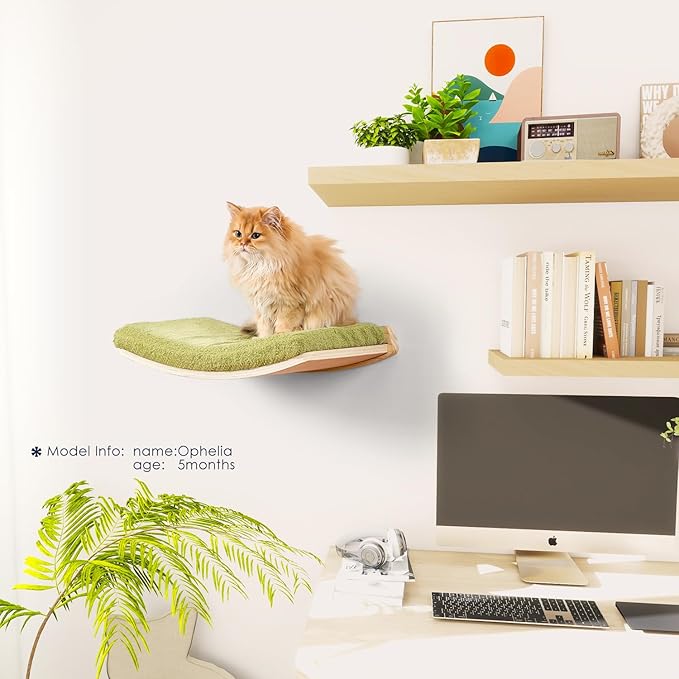 Cat Wall Shelves,Wall Mounted Cat Wall Furniture,Curved Cat Shelves and Perches for Wall,Floating Cat Wall Bed Cat Shelf with Comfortable Cat Cushion