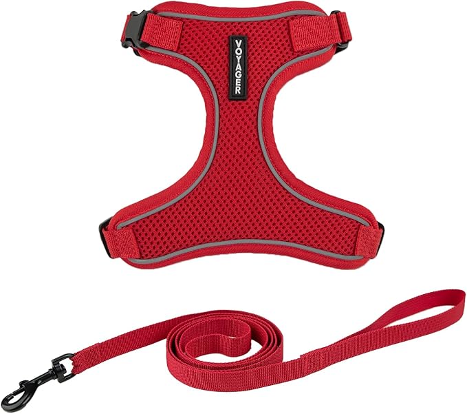Voyager Escape Proof Cat Harness and Leash Set with Reflective Stitching, Neoprene Handle 5ft - Supports Small, Medium and Large Cats, Kittens for Walking by Best Pet Supplies - Red, XXS