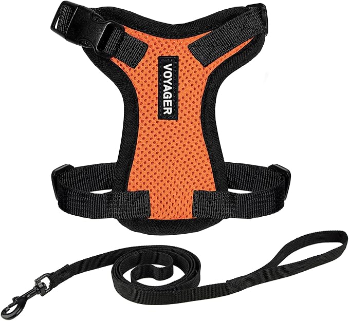 Voyager Step-in Lock Adjustable Cat Harness w. Cat Leash Combo Set with Neoprene Handle 5ft - Supports Small, Medium and Large Breed Cats by Best Pet Supplies - Orange/Black Trim, XXS