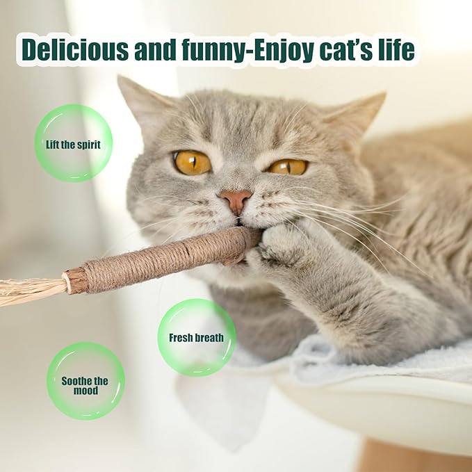 2pcs Silicone Collar Cat Toys & 3pcs Cat Teasing Wands, Adjustable Cat Wand Toy Cat Feather Toys Catnip Chew Toys Silvervine Sticks Interactive Cat Teaser Toys for Indoor Cat Kitten Exercise