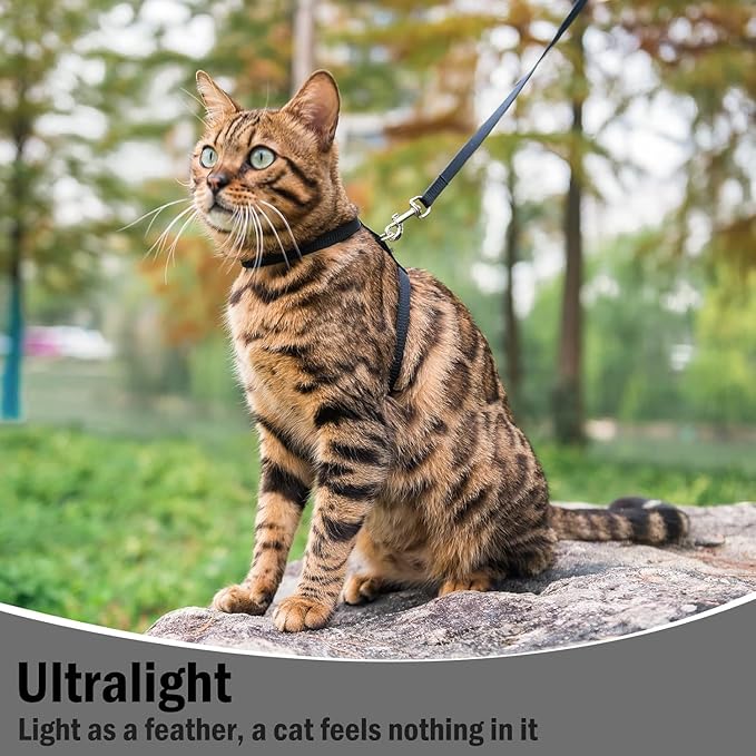 PUPTECK Adjustable Cat Harness and Leash Set Escape Proof Kitten Strap Collar for Walking Travel, Black, M