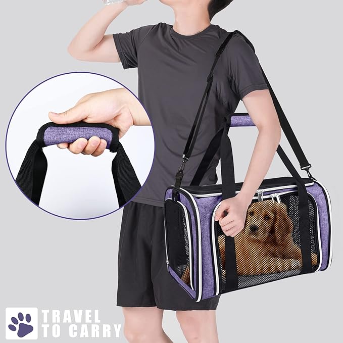BAGLHER Pet Travel Carrier, Cat Carriers Dog Carrier for Small Medium Cats Dogs Puppies, Airline Approved Small Dog Carrier Soft Sided, Collapsible Puppy Carrier. Purple
