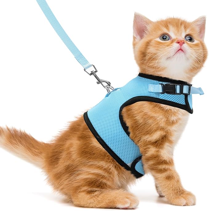 PUPTECK Soft Mesh Cat Vest Harness and Leash Set Puppy Padded Pet Harnesses Escape Proof for Cats Small Dogs, Blue Medium