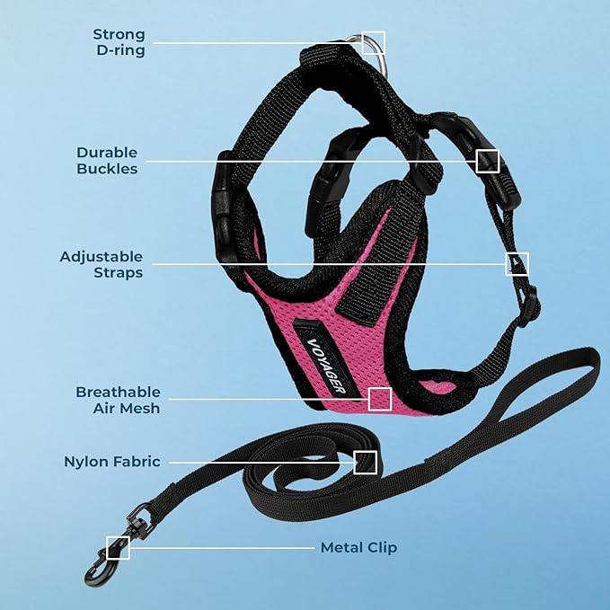 Voyager Step-in Lock Adjustable Cat Harness w. Cat Leash Combo Set with Neoprene Handle 5ft - Supports Small, Medium and Large Breed Cats by Best Pet Supplies - Fuchsia/Black Trim, XS
