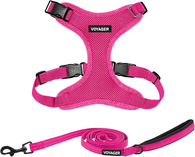 Voyager Step-in Lock Dog Harness w Reflective Dog Leash Combo Set with Neoprene Handle 5ft - Supports Small, Medium and Large Breed Puppies/Cats by Best Pet Supplies - Fuchsia, S