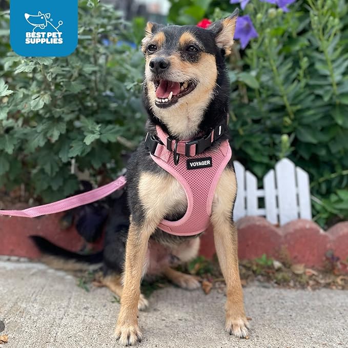 Voyager Step-in Lock Dog Harness w Reflective Dog Leash Combo Set with Neoprene Handle 5ft - Supports Small, Medium and Large Breed Puppies/Cats by Best Pet Supplies - Red/Black Trim, XS