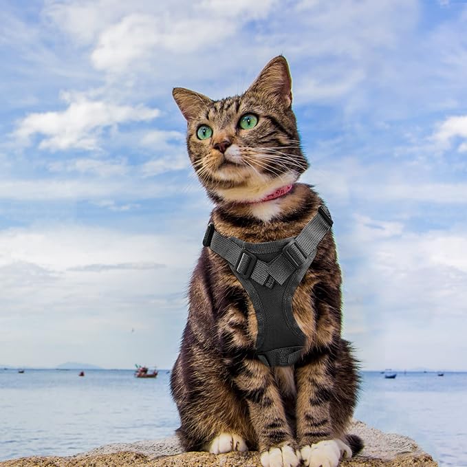 Tactical Cat Harness for Walking Escape Proof, Adjustable Pet Vest Harness, Soft Mesh with Control Handle for Large Cat Small Dog, Gift with Patch