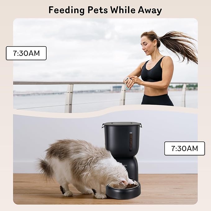 Automatic Cat Feeder and Cat Water Dispenser FW1, Wire or Battery Cat Food Dispenser Timer Pet Feeder - Locking Lid, Desiccant Bag, Programmable Portion Control, 4 Daily Meals, 10s Voice Recorder