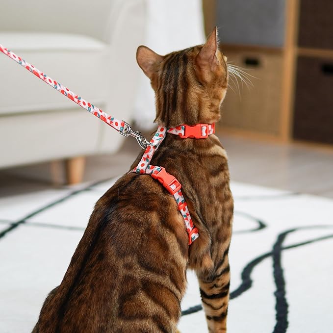 azuza Cat Harness and Leash Set for Safe Walking and Travel, Escape Proof Cat Harness, Lightweight Soft and Comfortable, Adjustable Kitten Harness for Small Medium Large Cats, Red Geometry