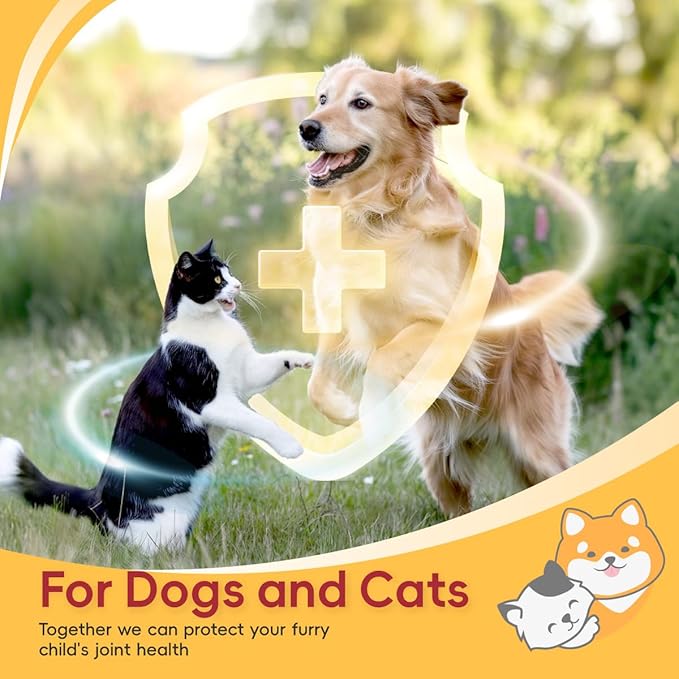 2-Pack Hip and Joint Supplement for Dogs, 200 Chews - Glucosamine Chondroitin for Dogs, Joint & Hip Health, Arthritis Pain Relief, Supports Immune System & Vitamins - Ideal for All Ages & Large Breeds