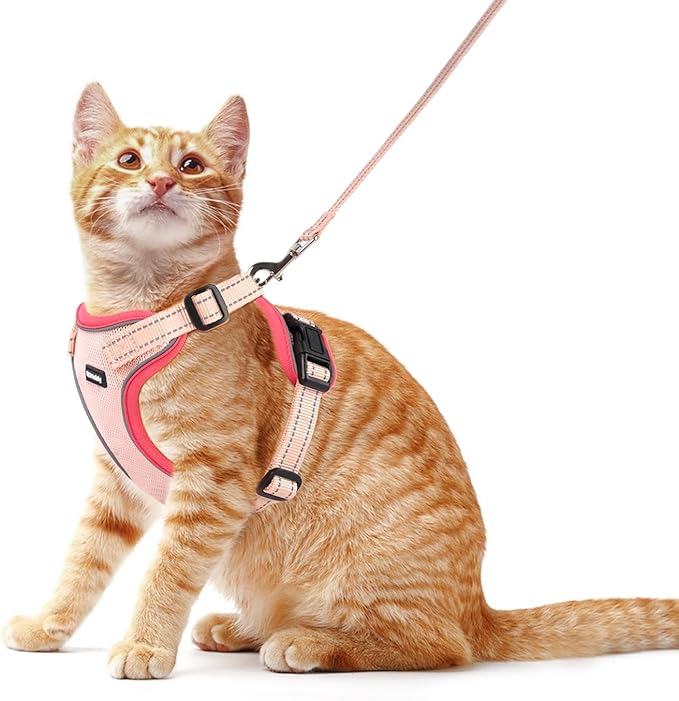 Rttochfy Cat Harness and Leash Set, Adjustable and Reflective Cat Vest, Escape Proof Kitten Harness, Easy to Put on with 3 Buckles for Cats Walking and Traveling (Pink, L)