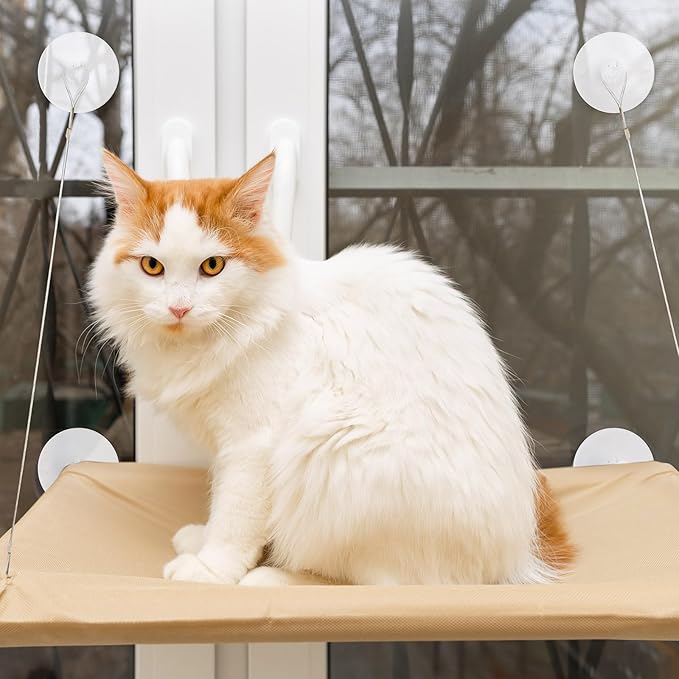 4 Pieces Cat Window Perch Suction Cup Powerful Cat Window Bed Seat Replacement Suction Cup Clear PVC Sucker Pads for Cat Hammocks Cat Window Seat Cat Perch