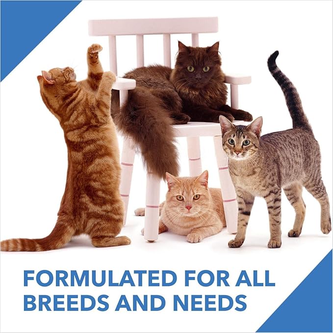 Adult(+1 Year) Dry Cat Food, Ocean Fish, 3 kg + 1.2 kg Free