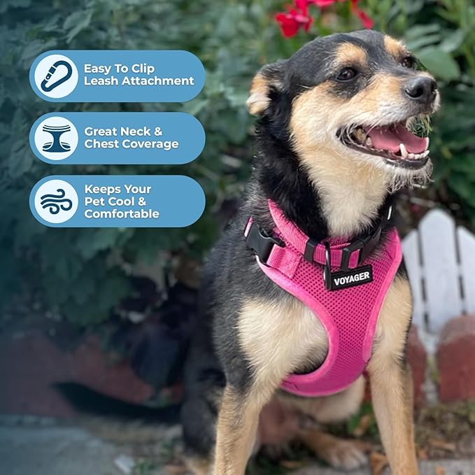 Voyager Step-in Lock Pet Harness - All Weather Mesh, Adjustable Step in Harness for Cats and Dogs by Best Pet Supplies - Fuchsia, M