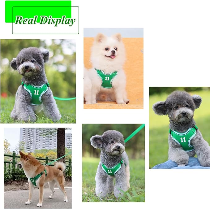 Reflective Dog Harness Breathable Adjustable Pet Harness with Handle for Outdoor Walking,Easy Control for Small,Medium Breeds (Green,L)