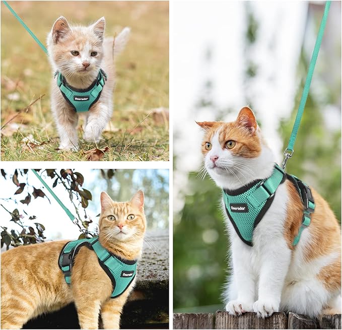 Dooradar Cat Harness and Leash Set, Escape Proof Safe Adjustable Kitten Vest Harnesses for Walking, Easy Control Soft Breathable Mesh Jacket with Reflective Strips for Cats, Green, S