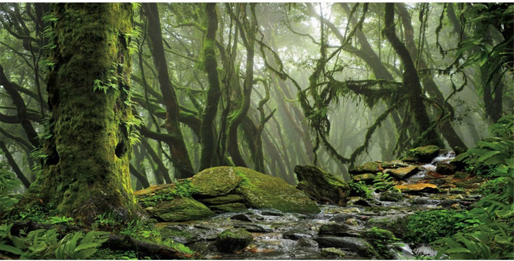 AWERT Foggy Forest Terrarium Background - Stream Green Huge Tree Reptile Habitat - Tropical Rainforest Aquarium - 60x24 inches Polyester