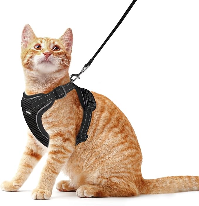 Rttochfy Cat Harness and Leash Set, Adjustable and Reflective Cat Vest, Escape Proof Kitten Harness, Easy to Put on with 3 Buckles for Cats Walking and Traveling (Black, M)