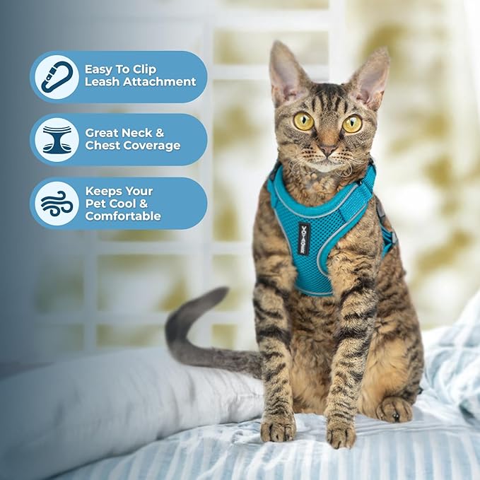 Voyager Escape Proof Cat Harness and Leash Set with Reflective Stitching, Neoprene Handle 5ft - Supports Small, Medium and Large Cats, Kittens for Walking by Best Pet Supplies - Turquoise, XXXS