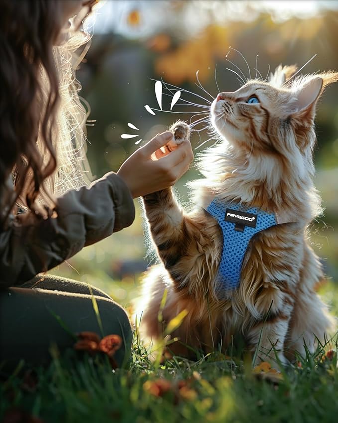 FAYOGOO Cat Harness, Cat Leash and Harness Set for Walking Escape Proof, Harness for Small Cats/Small Dogs, Large Kitten/Puppy Harness and Leash, Harness for Cats S-XXL(Tranquil Teal, Small)