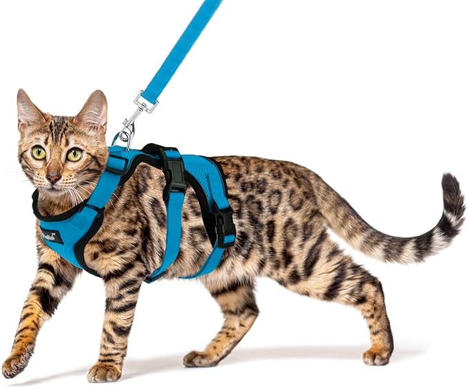 PUPTECK Cat Harness and Leash Set Escape Proof for Walking, Breathable Mash Vest Adjustable Harness for Cats Puppy Small Animals, Reflective at Night, Sky Blue Medium