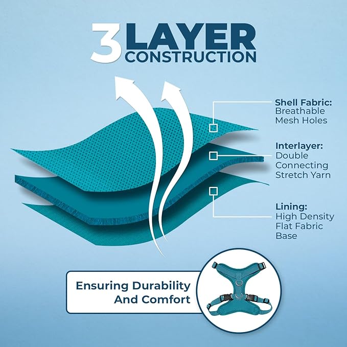 Voyager Step-in Lock Dog Harness w Reflective Dog Leash Combo Set with Neoprene Handle 5ft - Supports Small, Medium and Large Breed Puppies/Cats by Best Pet Supplies - Turquoise, XL