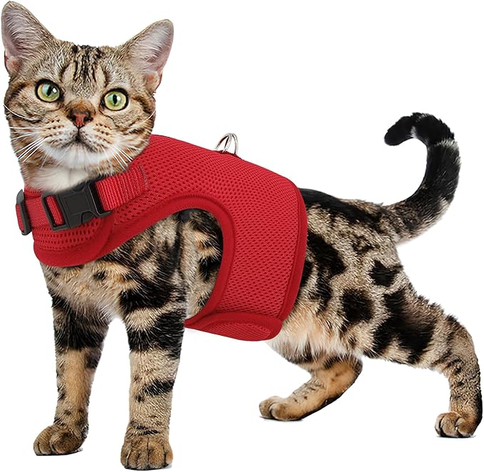 MoNiBloom Soft Cat Harness for Walking Escape Proof and Travel, Kitten Adjustable Breathable Vest Harness - Red, S