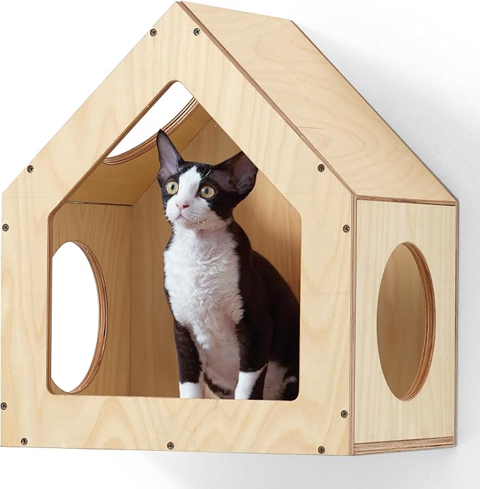 FUKUMARU Cat Bed Wall Mounted, Wooden Cat Furniture, Cat's House, Cats Perch, Cat Tree, Cat Shelves (Birch Plywood)