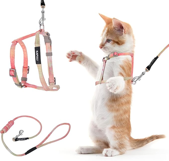 TIESOME Cat Harness and Leash Set, Adjustable Gradient Kitten Harness Escape Proof Harness with Leash for Kitty Outdoor Walking (Orange)