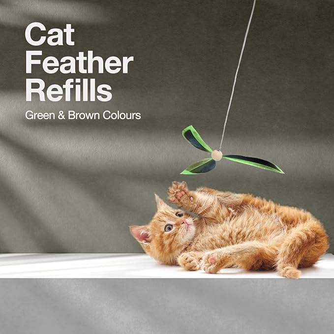 ALL FOR PAWS Cat Wand Toy Replacement Cat Feather Toys for Indoor Cats, 2 Packs