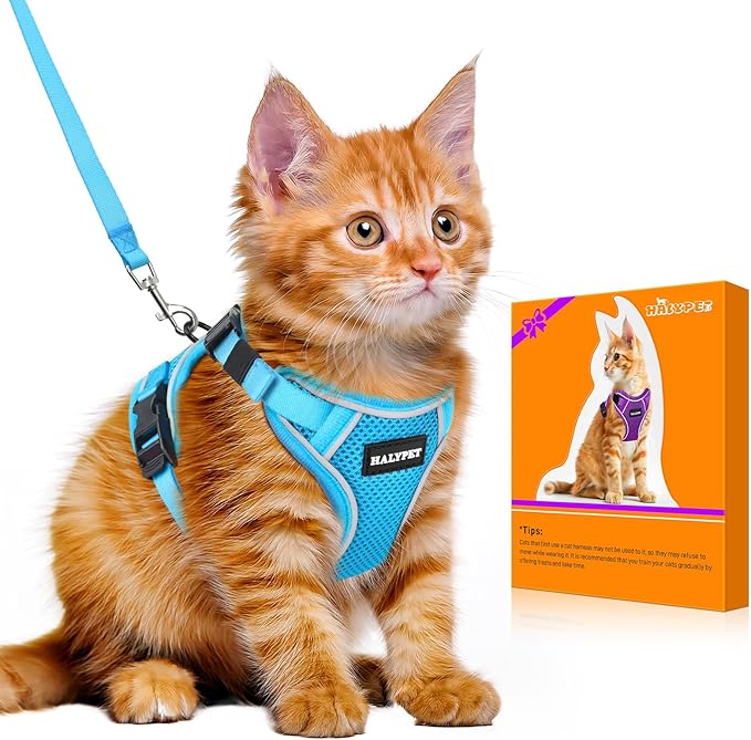 Halypet Cat Harness and Leash Set [MAX Safety 4th-Gen Upgrade] Escape Proof Adjustable Cat Leash Comfortable Soft Vest Easy to Wear Kitten Harness with Reflective Strip for Cats Walking, S SkyBlue