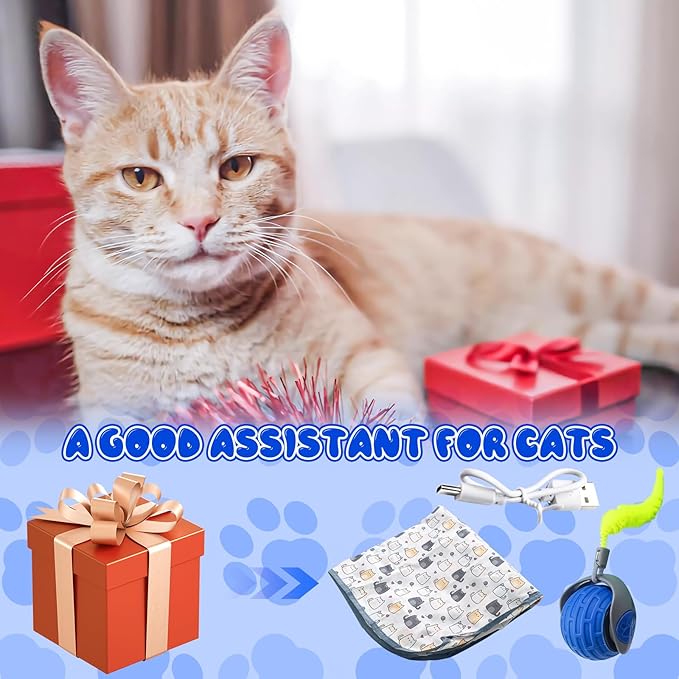 Aerbee Interactive Cat Toys for Indoor Cats, Electric Cat Ball Fast Rolling in Pouch, Motion Activate Chirping Cat Toy Hide and Seek Mouse Catching Game, 28 Inch Play Mat