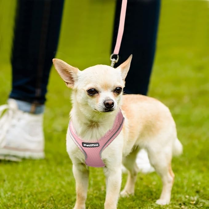 PetiFine Step in Small Dog Harness and Leash Set, Breathable All Weather Air Mesh Reflective Escape Proof, Step-in Vest Harnesses for Puppy(XS, Pink)