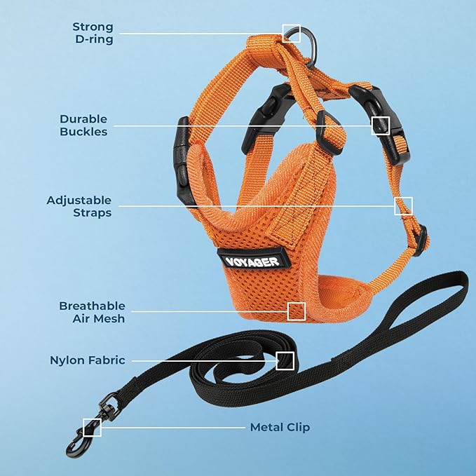 Voyager Step-in Lock Adjustable Cat Harness w. Cat Leash Combo Set with Neoprene Handle 5ft - Supports Small, Medium and Large Breed Cats by Best Pet Supplies - Orange, XXXS
