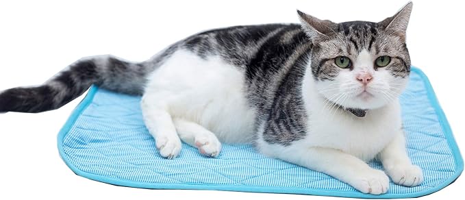 SEIS Dog Ice Pad Ice Silk Cats Kennel Mat Pet Cooling Pad Summer Cool Bamboo Mat Breathable Pad (Solid Gray, L