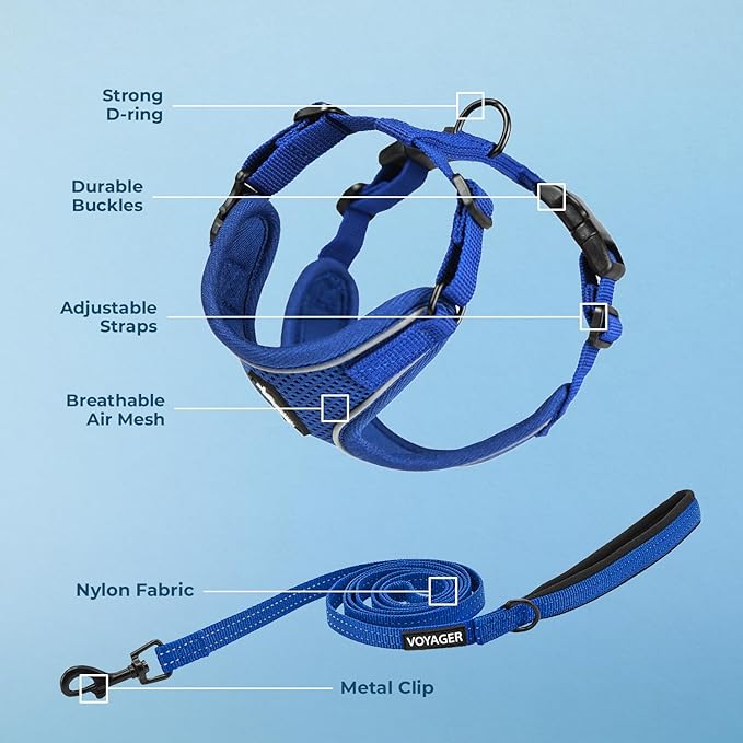 Voyager Escape Proof Cat Harness and Leash Set with Reflective Stitching, Neoprene Handle 5ft - Supports Small, Medium and Large Cats, Kittens for Walking by Best Pet Supplies - Royal Blue, XS