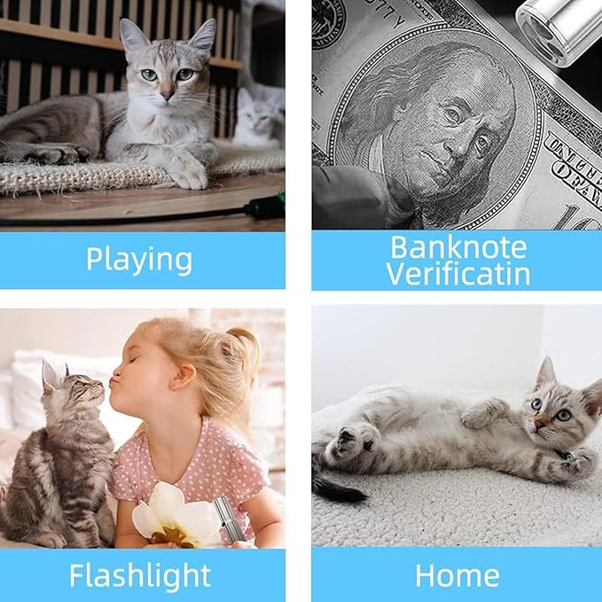 2 Pack Laser Pointer Cat Toy 7 Adjustable Modes Red Light to Amuse Pets Blue Light Can Check Money with Small Torch USB Rechargeable Metal Material
