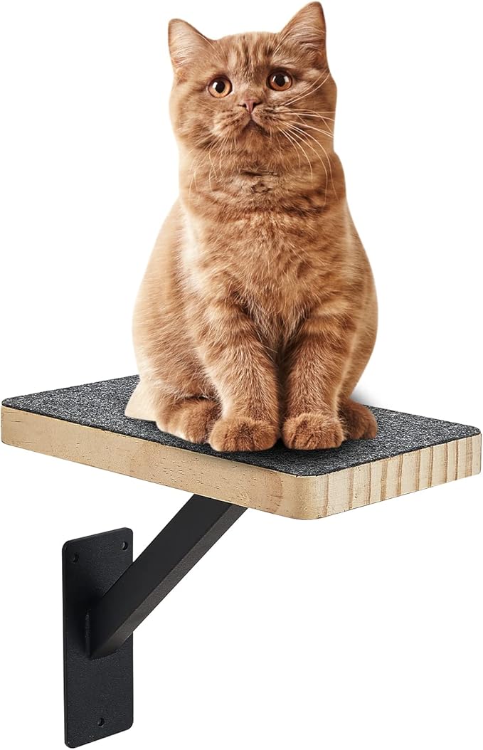 Cat Climbing Steps for Wall (Pack of 3) -Sturdy Metal Support Cat Wall Steps, Wall Floating Shelves, Indoor Cat Wall Furniture & Perch, Cat Hammock Bed, Cat Ladder Stairs-Easy to Install