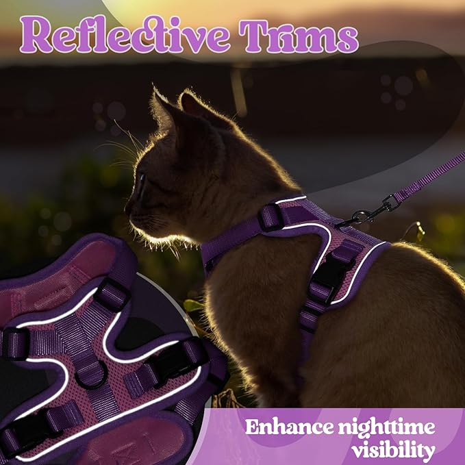 rabbitgoo Cat Harness and Leash Set, Escape Proof Soft Adjustable Vest Harnesses for Outdoor Walking, Easy Control Breathable Kitten Jacket with Reflective Strips, Pink & Purple, XS