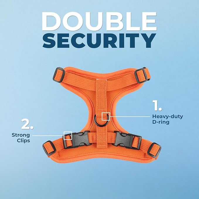 Voyager Escape Proof Cat Harness and Leash Set with Reflective Stitching, Neoprene Handle 5ft - Supports Small, Medium and Large Cats, Kittens for Walking by Best Pet Supplies - Orange, S