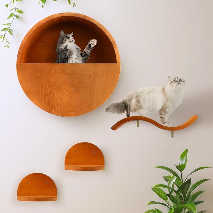 Modern Floating Wall Cat Shelves with Hiding Perch - 4 Piece Set for Climbing & Lounging - Stylish Wall-Mounted Cat Furniture
