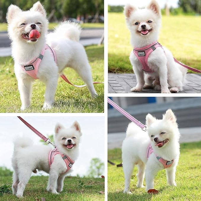 Soft Mesh Dog Harness and Leash Set, Step-in Reflective Breathable Comfort Padded Quick Dry Pet Puppy Vest Harness for Extra-Small/Small Medium Dogs and Cats (Pink, XS)