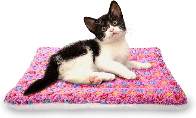 FJWYSANGU Fluffy Pet Cat Blanket Soft Coral Velvet Pet Puppy Cushion Mat Warm Cover Soft Pad Mat M Pink