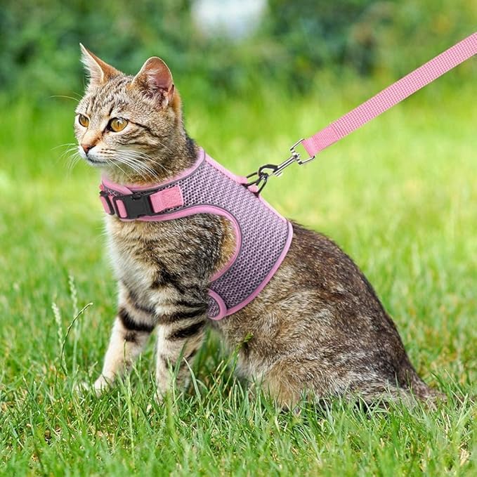 PUPTECK Soft Mesh Cat Vest Harness and Leash Set Puppy Padded Pet Harnesses Escape Proof for Cats Small Dogs Rabbits Bunny