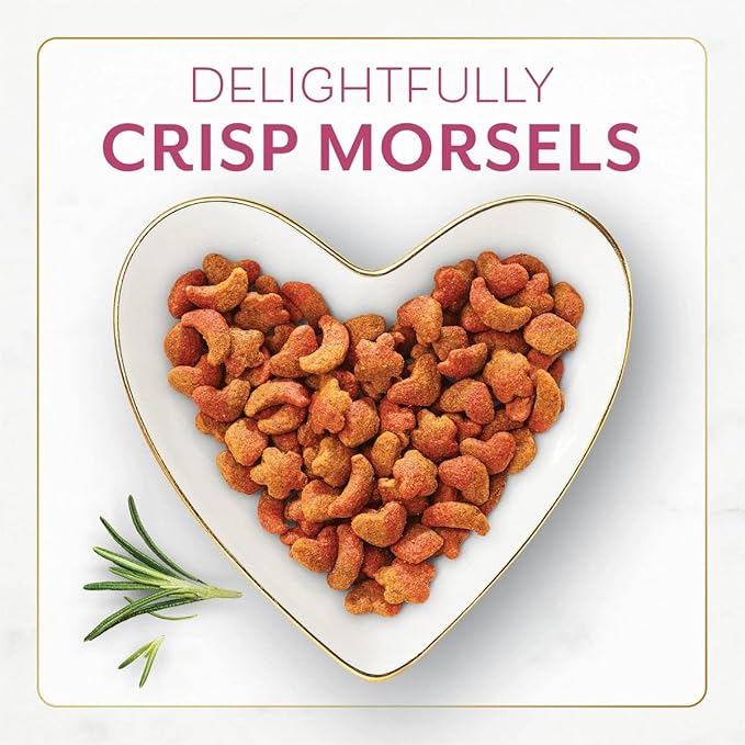 Aurora Pet Bundle Pack (4) FF Gourmet Dry Cat Food Filet Mignon Flavor with Real Seafood & Shrimp (16 oz. Bags) Plus AuroraPet Wipes