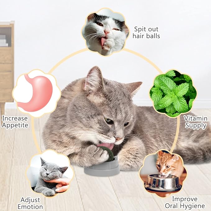 3 Pack Catnip Balls, Catnip Ball for Cats Wall, Edible Kitty Toys for Cats Lick, Safe Healthy Kitten Chew Toys, Teeth Cleaning Dental Cat Toys, Cat Wall Treats (Grey)