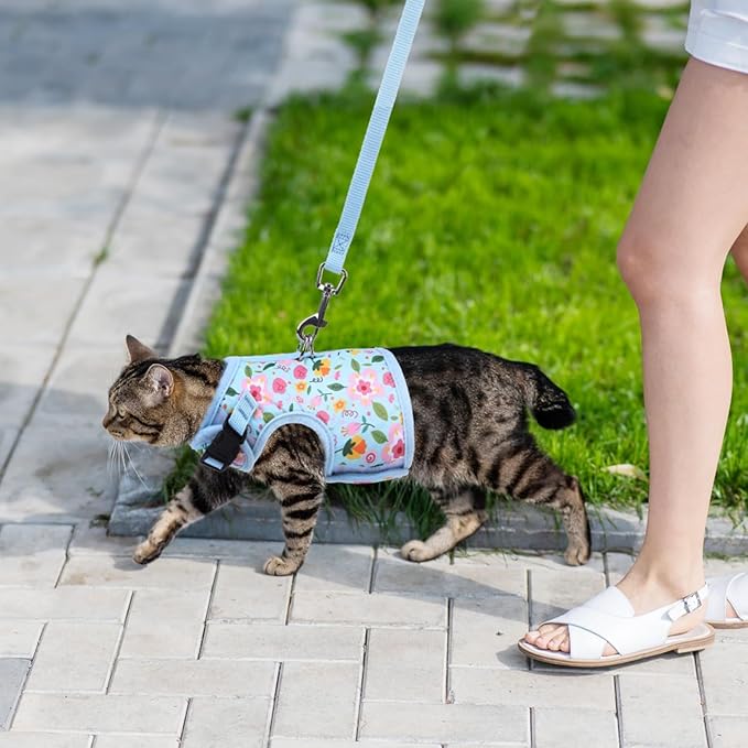 BINGPET Cat Harness and Leash Set Escape Proof for Walking,Step-in Harness with Lightweight Soft Breathable Mesh,Adjustable Easy Control Harness for Kitten Puppy Small Medium Large Cats(Flower,M)