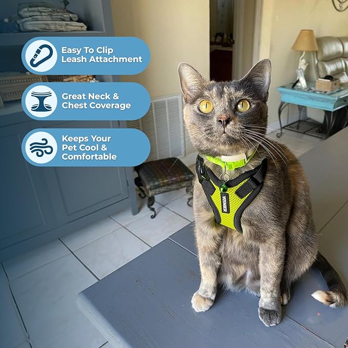 Voyager Step-in Lock Adjustable Cat Harness w. Cat Leash Combo Set with Neoprene Handle 5ft - Supports Small, Medium and Large Breed Cats by Best Pet Supplies - Lime Green/Black Trim, S