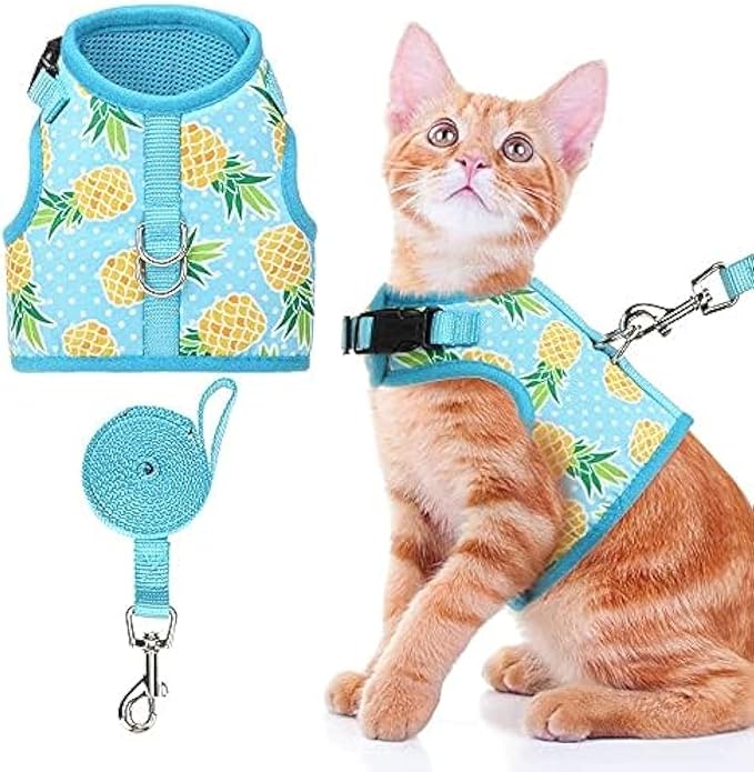 BINGPET Cat Harness - with Leash Included - Mesh Cat Dog Walking Harness Adjustable Harness for Kitties Puppy Harness Adjustable Cat Vest Harness Small Pineapple