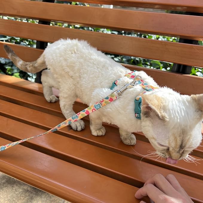 azuza Cat Harness and Leash Set for Safe Walking and Travel, Escape Proof Cat Harness, Lightweight Soft and Comfortable, Adjustable Kitten Harness for Small Medium Large Cats, Yellow Cactus